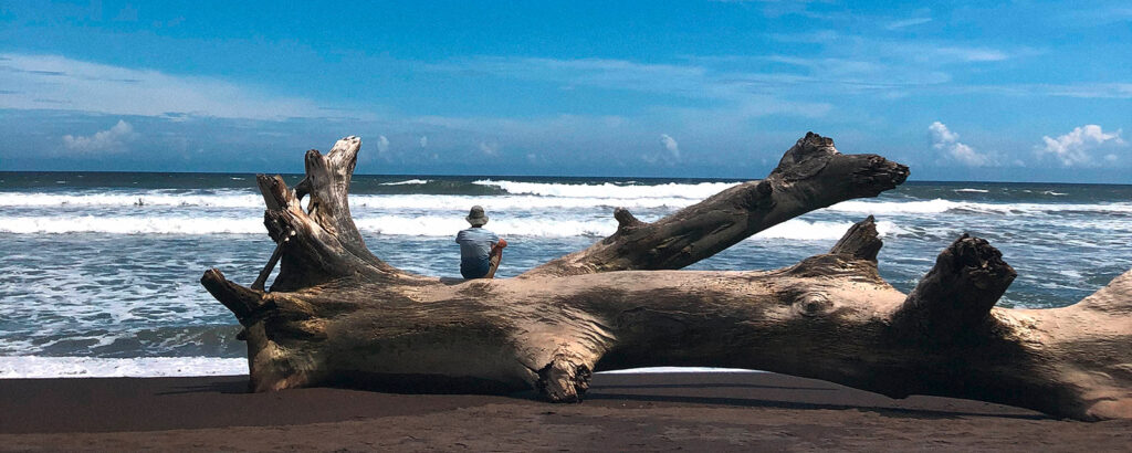 Ausstellungsbild zur Ausstellung "Holz bewegt" 2023 im Museum der Arbeit, eine Person sitzt am Strand auf einem riesigen Baumstamm.